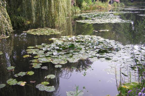 Claude Monet's gardens